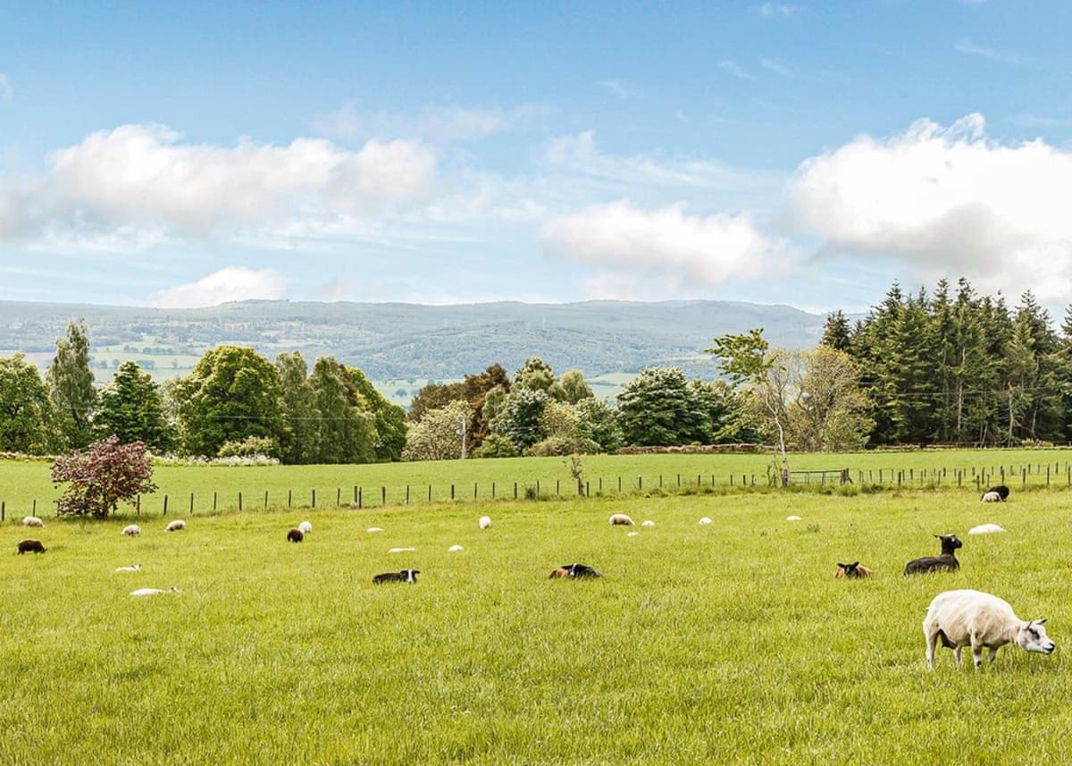 Kessock Highland Lodges North Kessock Exteriér fotografie
